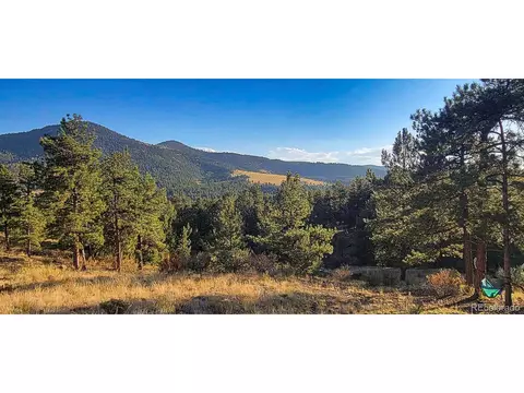 279 Wagonwheel Rd, Guffey, CO 80820