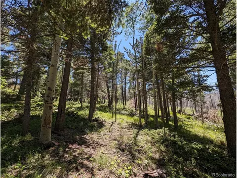 2154 Sigler Dr, Fort Garland, CO 81133