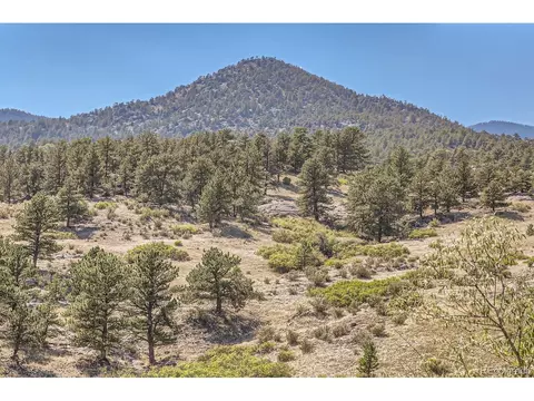 39 Stirrup Hill Ct, Lyons, CO 80540 photo 15