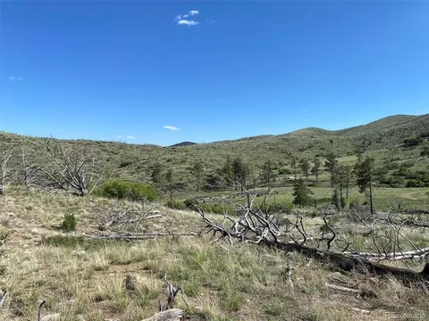 tbd E Path, Cotopaxi, CO 81223 photo 19