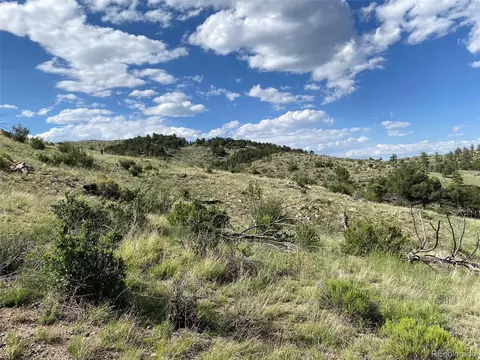 tbd E Path, Cotopaxi, CO 81223 photo 6