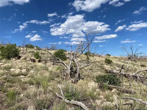 tbd E Path, Cotopaxi, CO 81223 photo 22