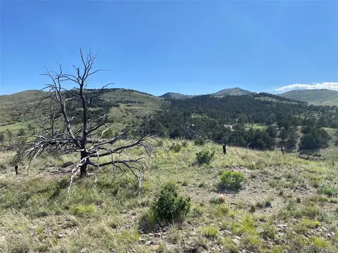 tbd E Path, Cotopaxi, CO 81223 photo 17
