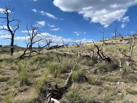 tbd E Path, Cotopaxi, CO 81223 photo 21