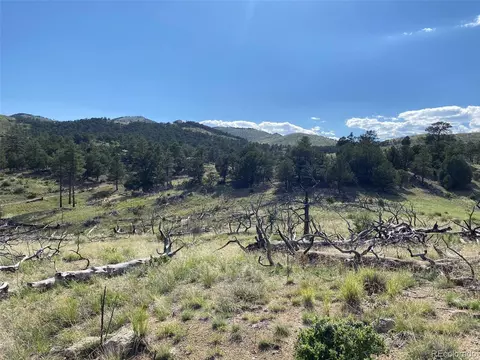 tbd E Path, Cotopaxi, CO 81223 photo 20