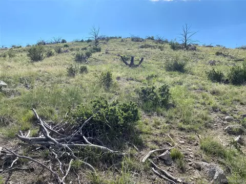 tbd E Path, Cotopaxi, CO 81223 photo 3