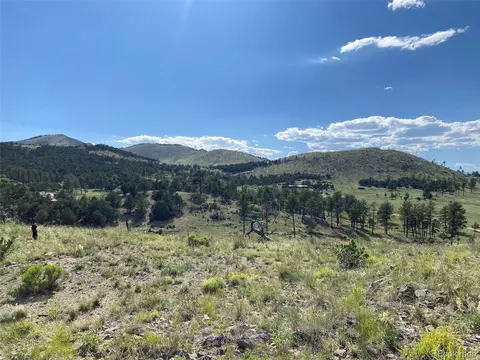 tbd E Path, Cotopaxi, CO 81223 photo 18