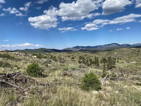 tbd E Path, Cotopaxi, CO 81223