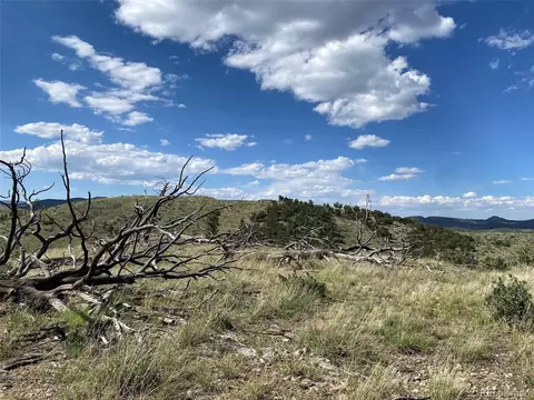 tbd E Path, Cotopaxi, CO 81223 photo 14