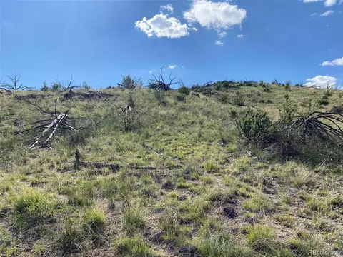 tbd E Path, Cotopaxi, CO 81223 photo 9