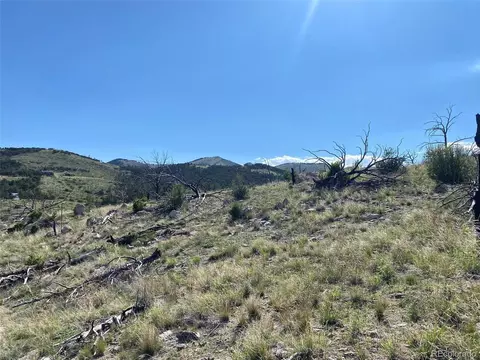 tbd E Path, Cotopaxi, CO 81223 photo 13