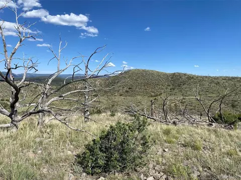 tbd E Path, Cotopaxi, CO 81223 photo 16