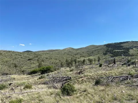 tbd E Path, Cotopaxi, CO 81223 photo 12