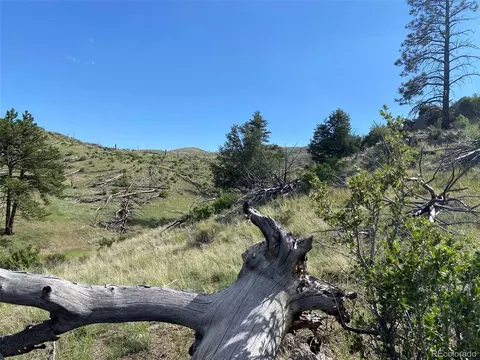 tbd E Path, Cotopaxi, CO 81223 photo 8