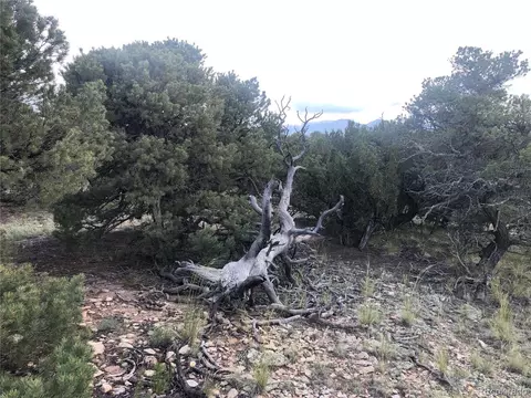 9 Clg, Gardner, CO 81040 photo 16