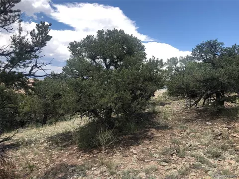 9 Clg, Gardner, CO 81040 photo 8