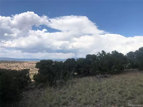 9 Clg, Gardner, CO 81040 photo 10