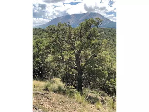 9 Clg, Gardner, CO 81040 photo 12