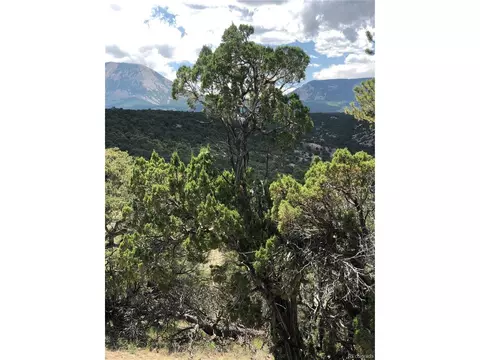 9 Clg, Gardner, CO 81040 photo 6