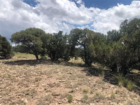 9 Clg, Gardner, CO 81040 photo 20