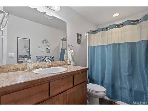 Bath - 884 Cliffrose Way, Windsor, CO 80550 photo 4 of 4