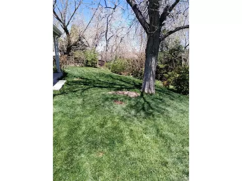 7520 Ames St, Arvada, CO 80003 photo 39