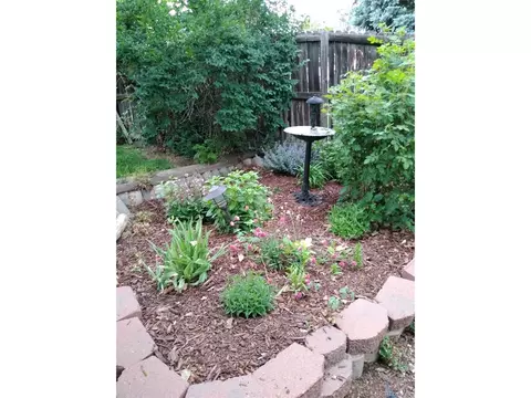 7520 Ames St, Arvada, CO 80003 photo 38
