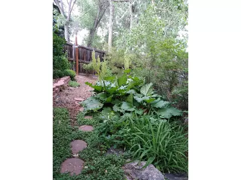 7520 Ames St, Arvada, CO 80003 photo 42