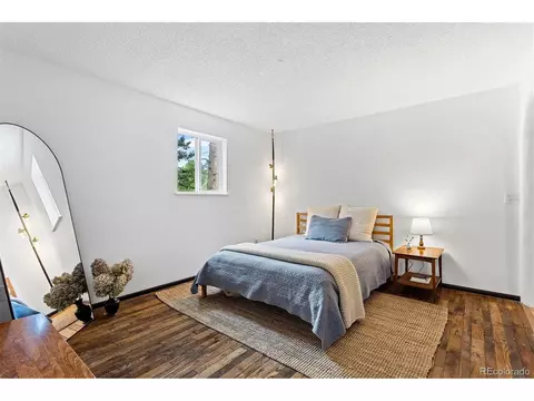 616 S Pine Dr, Bailey, CO 80421 photo 25