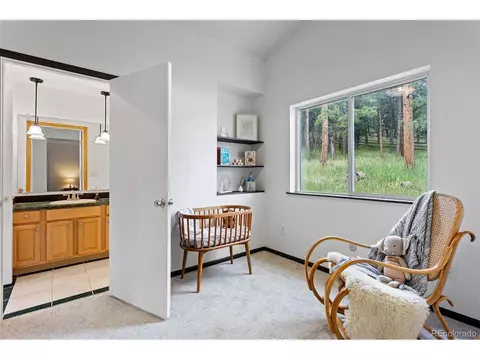 616 S Pine Dr, Bailey, CO 80421 photo 26