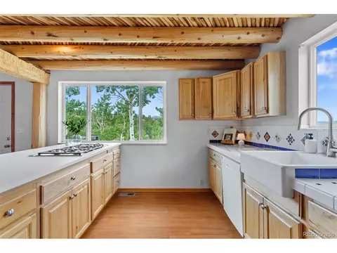 616 S Pine Dr, Bailey, CO 80421 photo 13