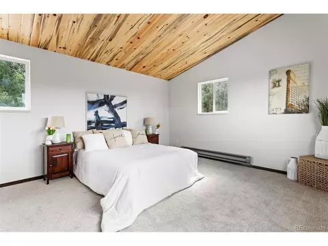 616 S Pine Dr, Bailey, CO 80421 photo 28