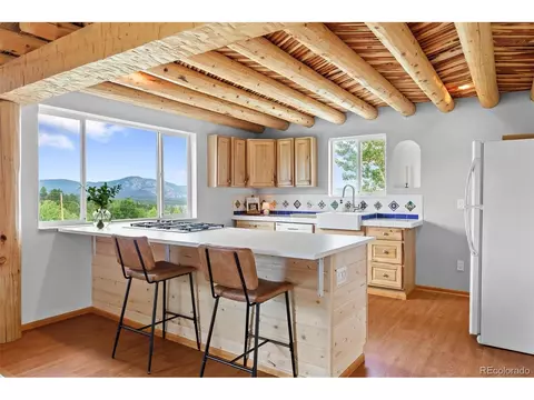 616 S Pine Dr, Bailey, CO 80421 photo 5
