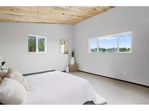 616 S Pine Dr, Bailey, CO 80421 photo 27