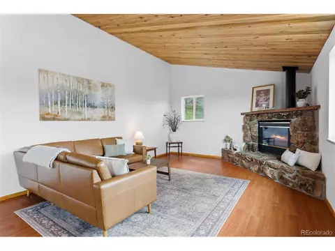 616 S Pine Dr, Bailey, CO 80421 photo 10