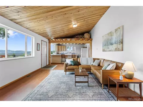 616 S Pine Dr, Bailey, CO 80421 photo 11