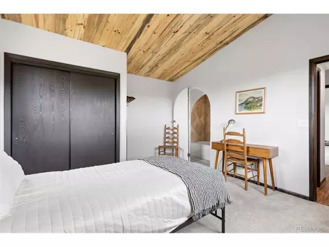 616 S Pine Dr, Bailey, CO 80421 photo 29