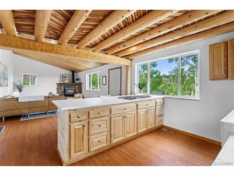 616 S Pine Dr, Bailey, CO 80421 photo 15