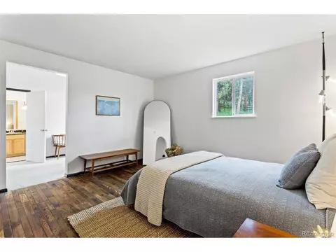 616 S Pine Dr, Bailey, CO 80421 photo 24