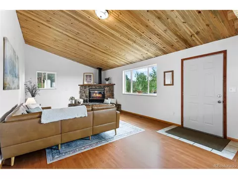 616 S Pine Dr, Bailey, CO 80421 photo 7