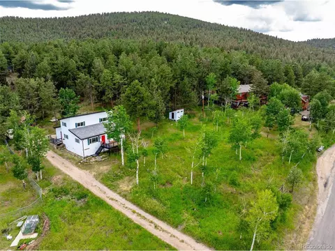 616 S Pine Dr, Bailey, CO 80421 photo 44