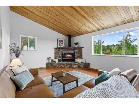 616 S Pine Dr, Bailey, CO 80421 photo 4
