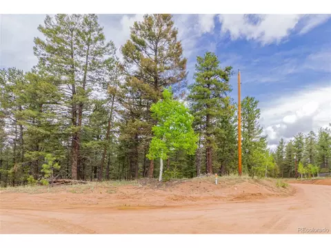 71 Nuaku Rd, Florissant, CO 80816