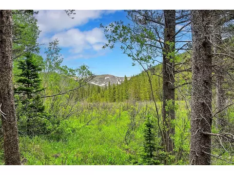 7 Silver Creek Rd, Idaho Springs, CO 80452