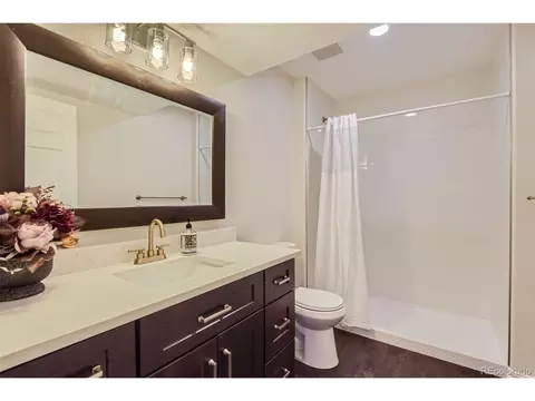 10179 Longview Dr, Lone Tree, CO 80124 photo 24