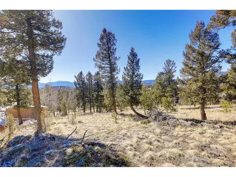 675 Tapadero Rd, Bailey, CO 80421 photo 35