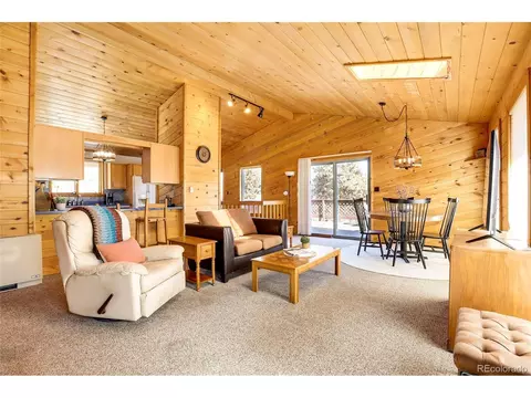 675 Tapadero Rd, Bailey, CO 80421 photo 14