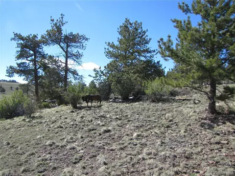 597 Forge Rd, Hartsel, CO 80449 photo 13