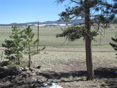 597 Forge Rd, Hartsel, CO 80449 photo 8