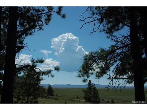 597 Forge Rd, Hartsel, CO 80449 photo 1
